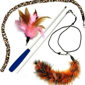 Pet Fit For Life 3 Piece Dual Rod Feather Teaser and Exerciser with a Slithering